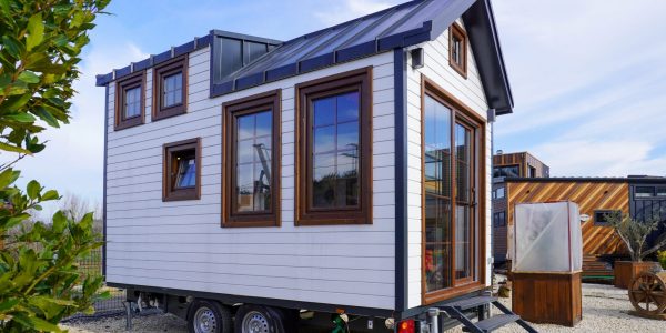 DSC05205-scaled-600x300